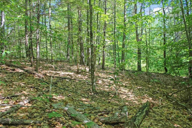 4 John Ter, Ossipee, NH 03864