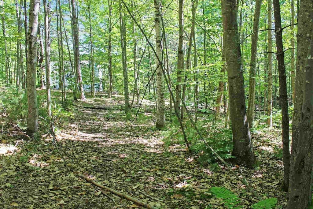 4 John Ter, Ossipee, NH 03864