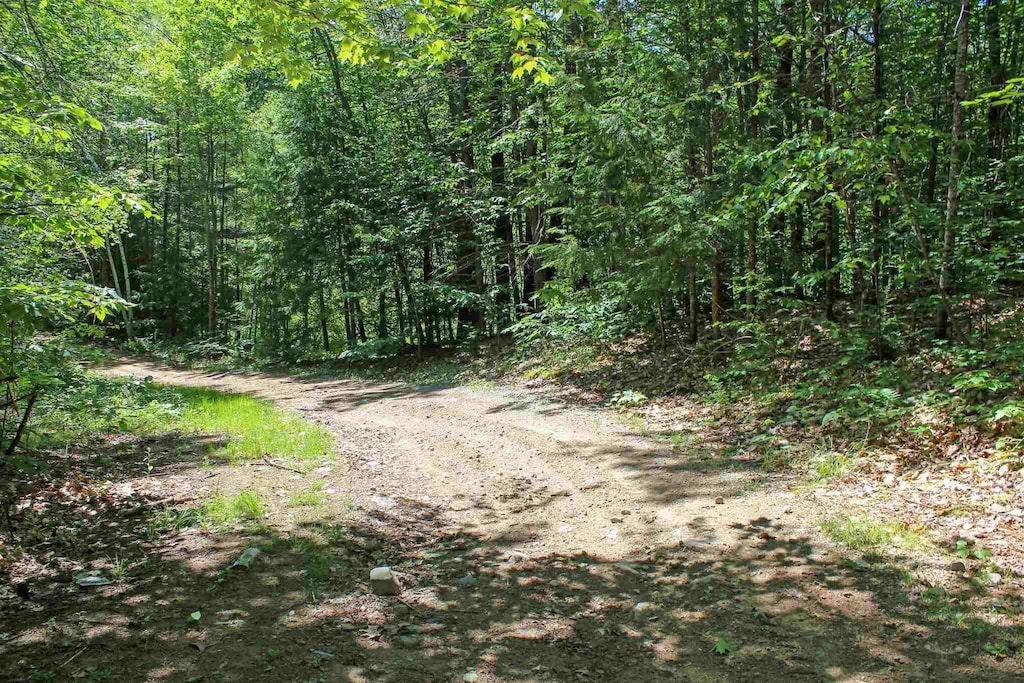 4 John Ter, Ossipee, NH 03864