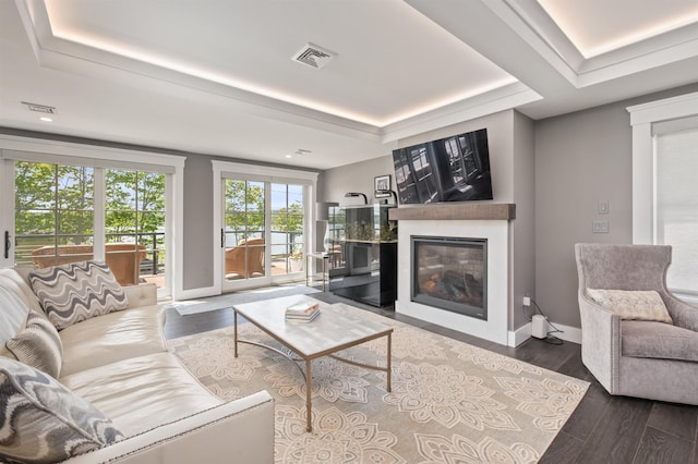 5 Michaels Way, Laconia, NH 03246 - living room with a glass covered fireplace, dark wood-type flooring, a tray ceiling, and recessed lighting