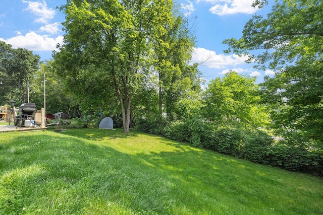 46 E Diane Dr, Keene, NH 03431 - view of grassy yard