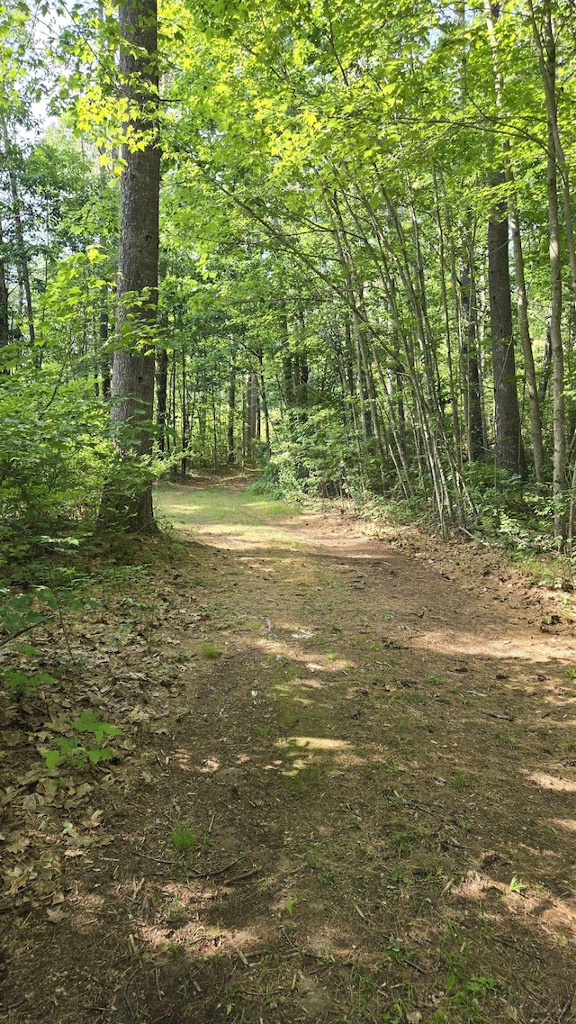 114 Snow Pond Rd, Concord, NH 03301 - view of woods