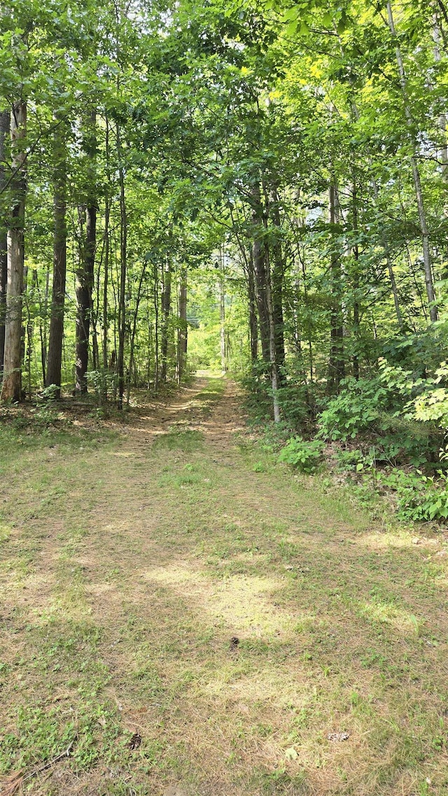 114 Snow Pond Rd, Concord, NH 03301 - view of undeveloped land