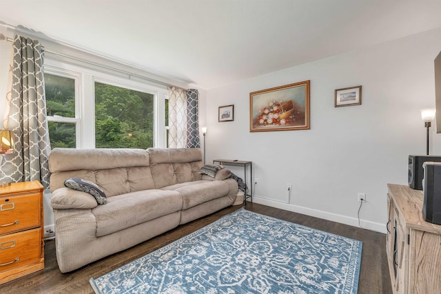 44A Windham Rd, Hudson, NH 03051 - living room featuring baseboards and dark wood finished floors