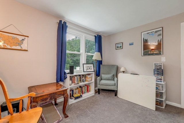 44A Windham Rd, Hudson, NH 03051 - living area featuring carpet floors