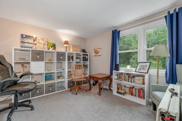 44A Windham Rd, Hudson, NH 03051 - view of carpeted office