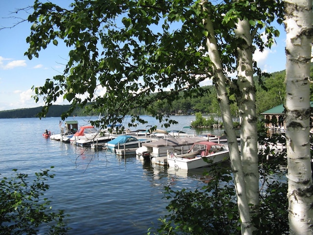 33 Newbury Heights Rd, Newbury, NH 03255 - dock area featuring a water view