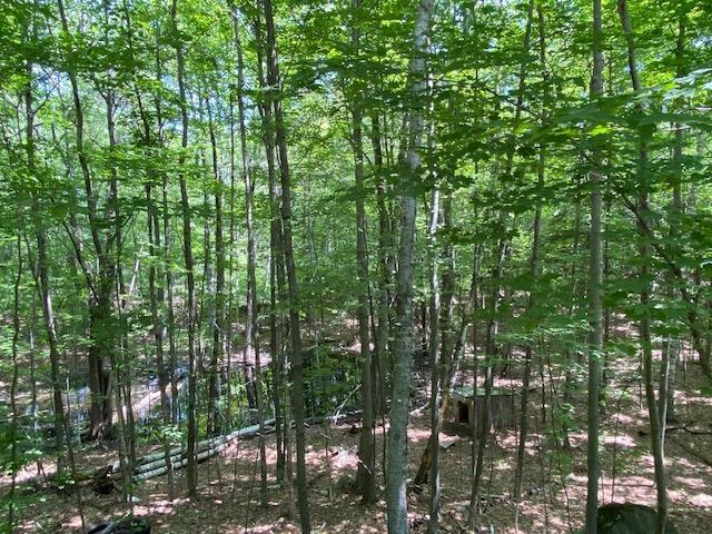 33 Newbury Heights Rd, Newbury, NH 03255 - view of nature