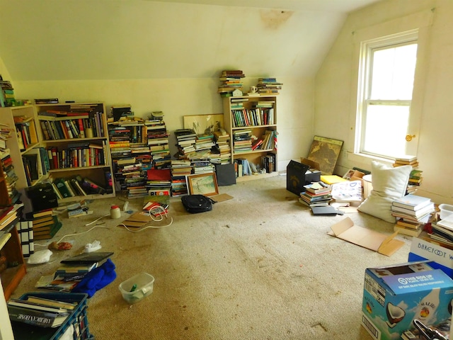 336 Main St, Wakefield, NH 03887 - misc room with vaulted ceiling and carpet flooring