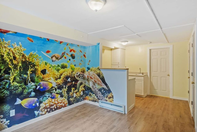 82 Robinhood Rd, Wakefield, NH 03830 - spare room featuring a baseboard radiator and light wood-style floors