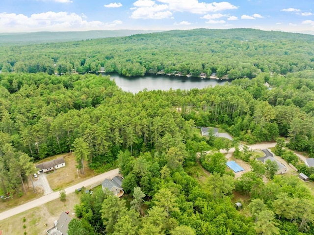 82 Robinhood Rd, Wakefield, NH 03830 - bird's eye view of a heavily wooded area and a large body of water