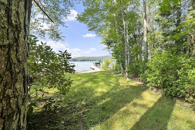27 Mason Rd, Brookline, NH 03033 - view of yard with a water view and a boat dock