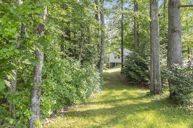 27 Mason Rd, Brookline, NH 03033 - view of green lawn