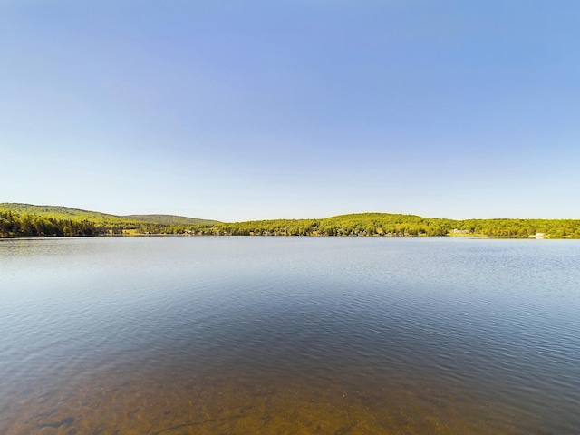 312 Roy Rd, Stewartstown, NH 03576 - water view