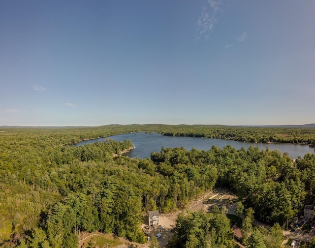 51 Spruce Rd, Middleton, NH 03887 - water view with a heavily wooded area