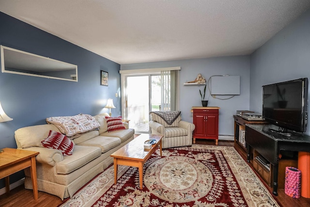 19 Shelburne Rd Unit 19, Merrimack, NH 03054 - living room featuring wood finished floors and a baseboard radiator