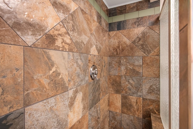 89 College St Unit A-2, Burlington, VT 05401 - bathroom view of a tile shower and ornamental molding