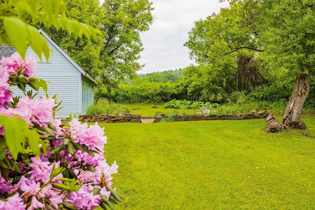 526 River Rd, Lyme, NH 03768 - view of green lawn