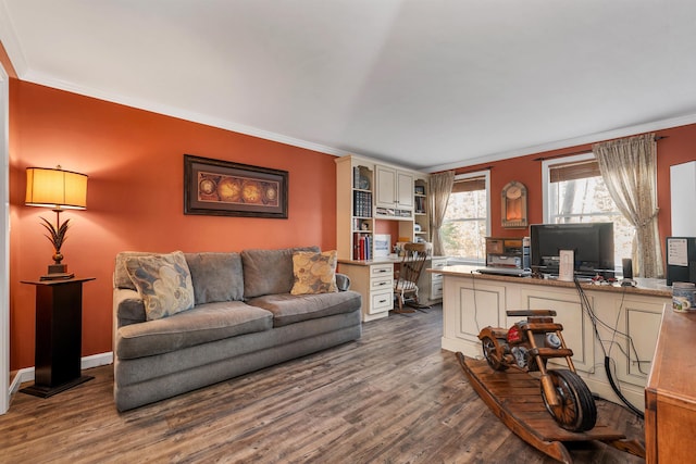 55 Trask Side Rd, Alton, NH 03810 - living area with ornamental molding, dark wood-style flooring, and an office area
