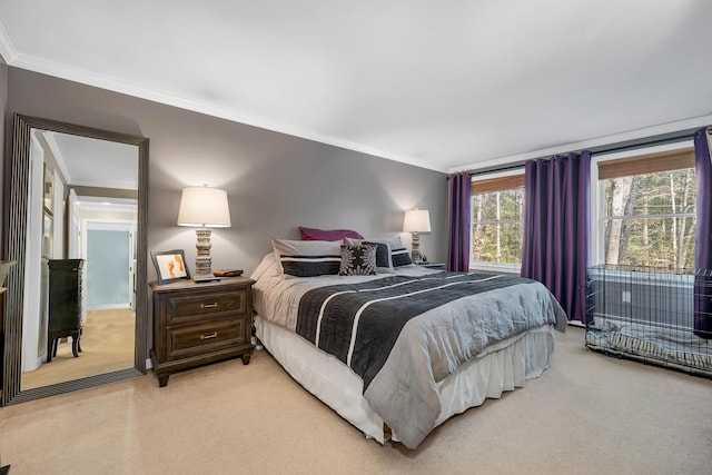 55 Trask Side Rd, Alton, NH 03810 - bedroom with light colored carpet and crown molding