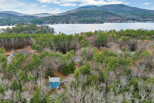 55 Trask Side Rd, Alton, NH 03810 - view of mountain background with a large body of water