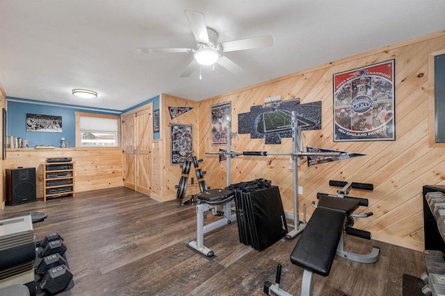 55 Trask Side Rd, Alton, NH 03810 - workout area featuring a ceiling fan, wood walls, and wood finished floors