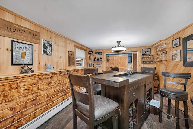 55 Trask Side Rd, Alton, NH 03810 - bar area featuring wood walls, wood finished floors, and a baseboard radiator