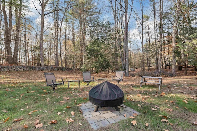 55 Trask Side Rd, Alton, NH 03810 - view of yard featuring an outdoor fire pit
