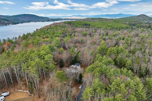 55 Trask Side Rd, Alton, NH 03810 - drone / aerial view of a forest and a water and mountain view