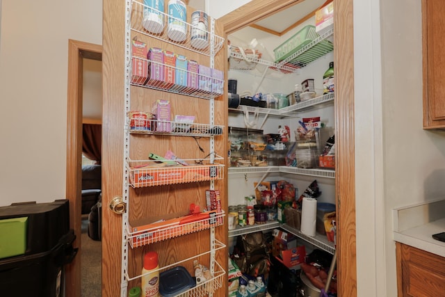 44 Hoit Mill Rd, Weare, NH 03281 - view of pantry