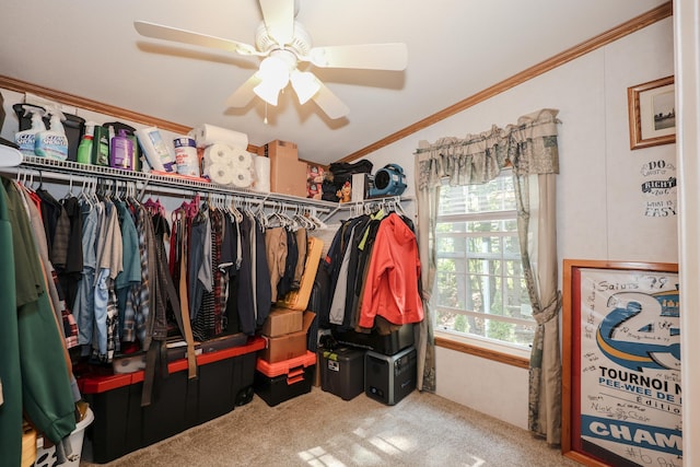44 Hoit Mill Rd, Weare, NH 03281 - walk in closet featuring carpet floors and a ceiling fan