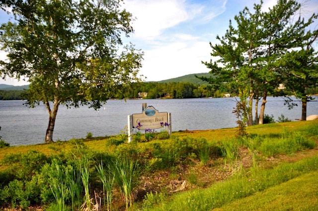 17 Village W Dr Unit 11, Bristol, NH 03222 - water view with a mountain backdrop