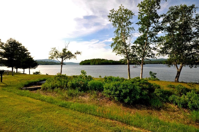 17 Village W Dr Unit 11, Bristol, NH 03222 - water view