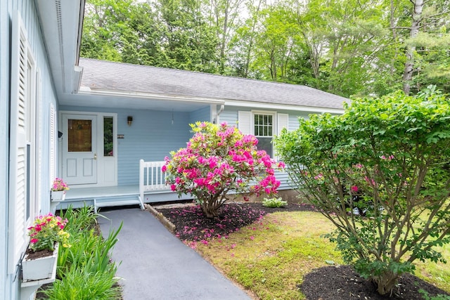 11 Penny Ln, Laconia, NH 03246 - entrance to property with a porch, roof with shingles, and view of wooded area