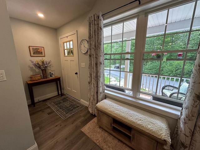 326 Dublin Rd, Jaffrey, NH 03452 - foyer entrance featuring dark wood-type flooring and plenty of natural light