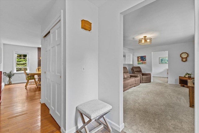 33 Winterlane Cir, Essex, VT 05452 - corridor with baseboards