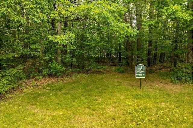 36 Circle Dr # 3, Ashland, NH 03217 - view of yard