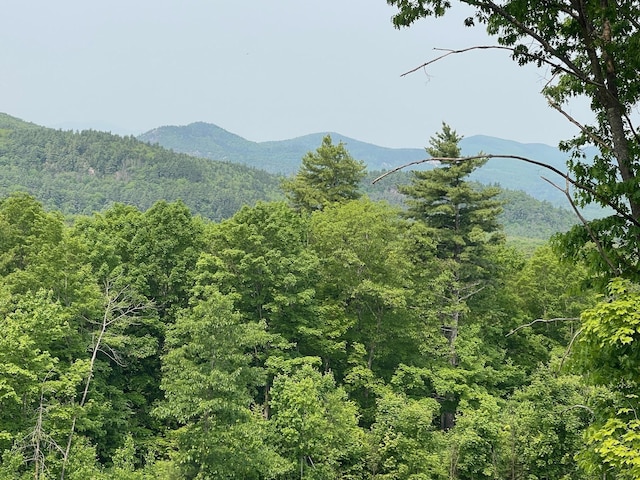 48 Merriman Forest Rd, Bartlett, NH 03812 - view of mountain background featuring a heavily wooded area