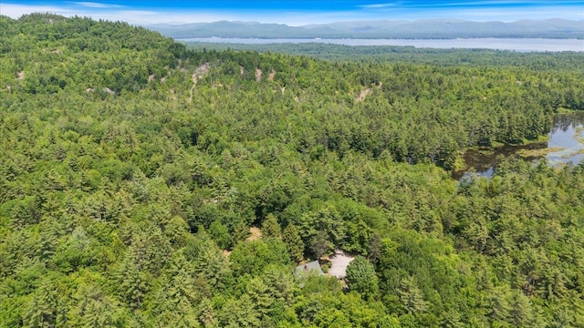 59 Ossipee Mountain Rd, Ossipee, NH 03814 - view of property location featuring a forest and a mountainous background