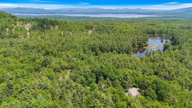 59 Ossipee Mountain Rd, Ossipee, NH 03814 - aerial view of property and surrounding area featuring a forest and a water and mountain view