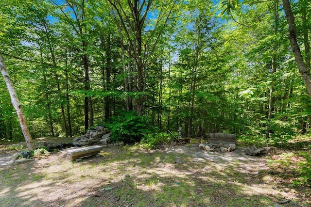 59 Ossipee Mountain Rd, Ossipee, NH 03814 - view of yard featuring a forest view