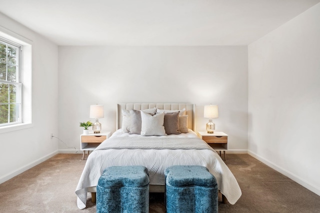 9 Old Nashua Rd Unit B-1, Amherst, NH 03031 - bedroom with carpet floors