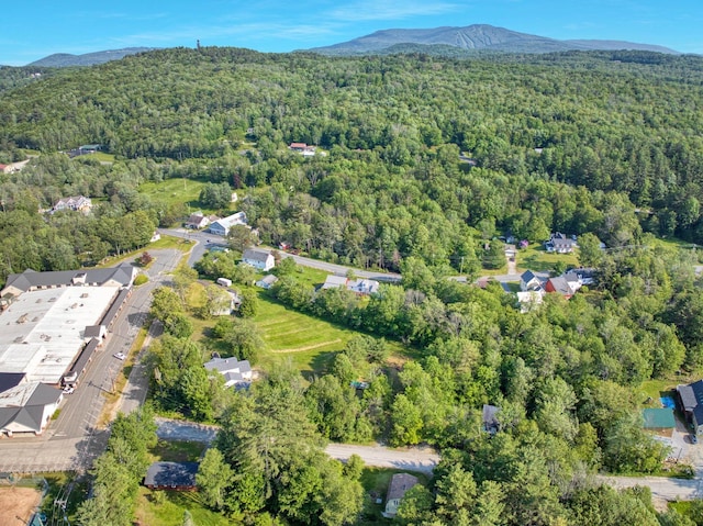 14 W Court Rd, Sunapee, NH 03782 - view of property location featuring a heavily wooded area and a mountain backdrop
