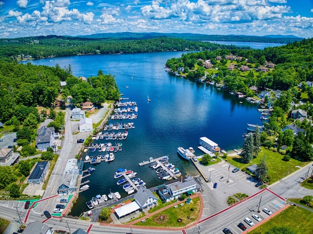 14 W Court Rd, Sunapee, NH 03782 - drone / aerial view of a nearby body of water and numerous boat docks