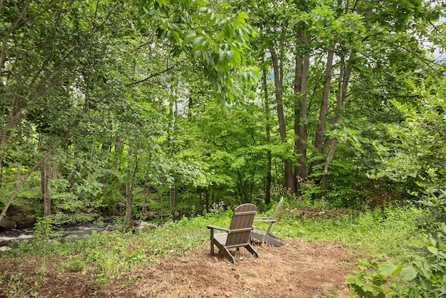 57 Central St, Farmington, NH 03835 - view of yard