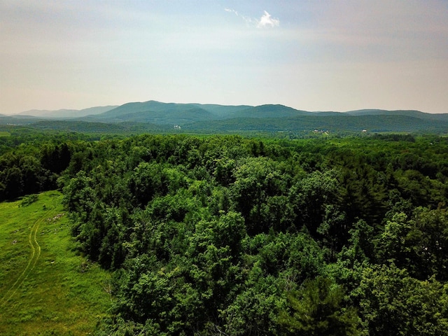 21 Nickerson Rd, Brandon, VT 05733
