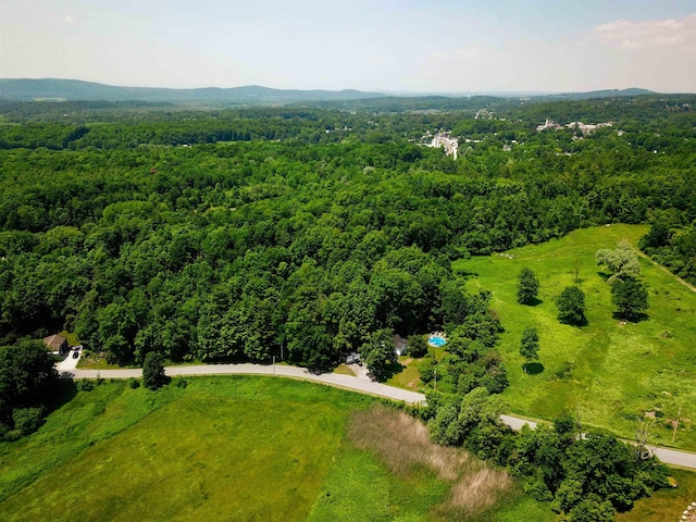 21 Nickerson Rd, Brandon, VT 05733
