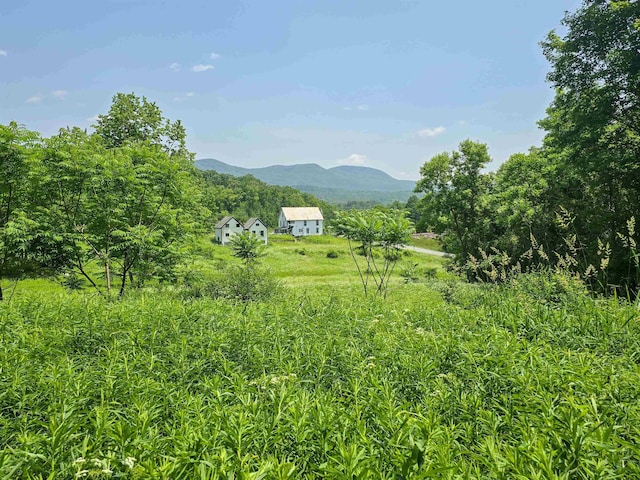 21 Nickerson Rd, Brandon, VT 05733