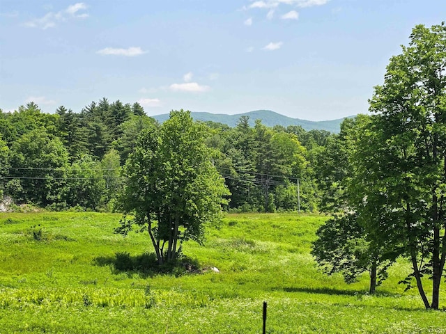 21 Nickerson Rd, Brandon, VT 05733