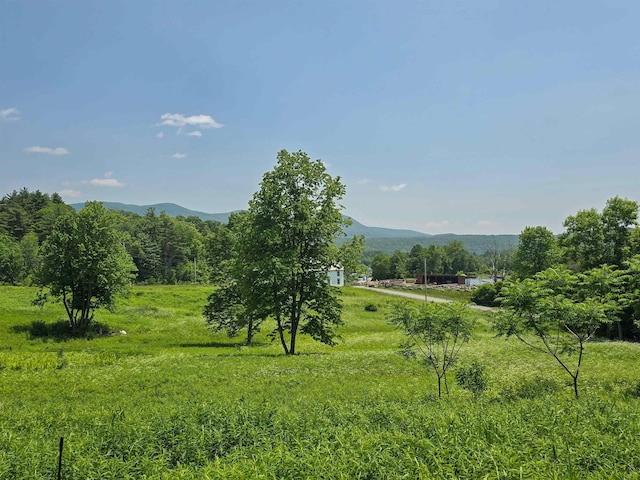 21 Nickerson Rd, Brandon, VT 05733